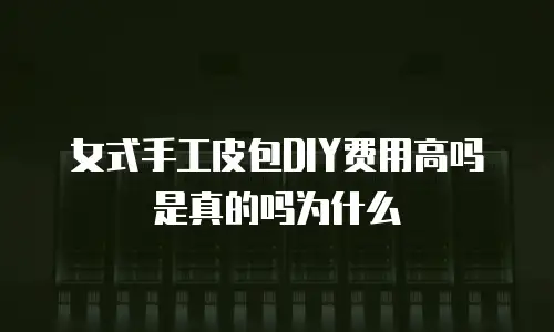 女式手工皮包DIY费用高吗是真的吗为什么
