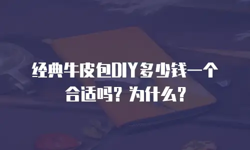 经典牛皮包DIY多少钱一个合适吗？为什么？