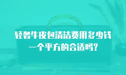 轻奢牛皮包清洁费用多少钱一个平方的合适吗？