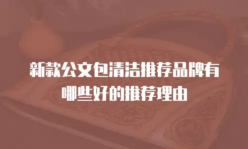 新款公文包清洁推荐品牌有哪些好的推荐理由