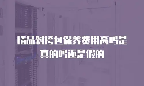 精品斜挎包保养费用高吗是真的吗还是假的