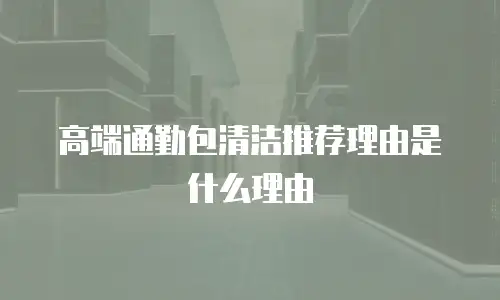 高端通勤包清洁推荐理由是什么理由