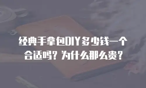 经典手拿包DIY多少钱一个合适吗？为什么那么贵？