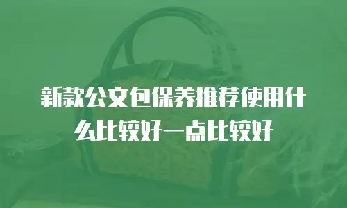 新款公文包保养推荐使用什么比较好一点比较好