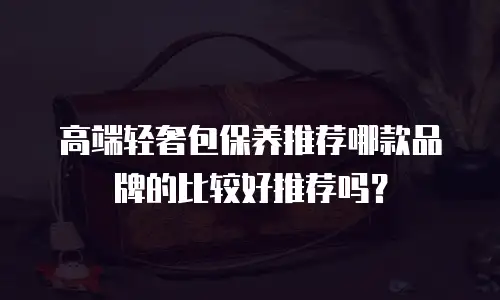 高端轻奢包保养推荐哪款品牌的比较好推荐吗？
