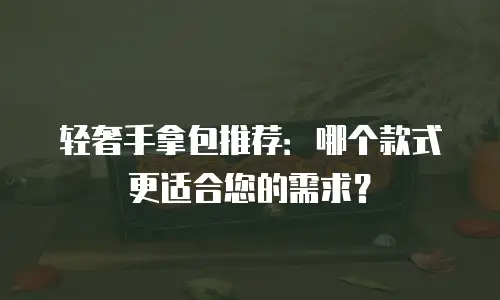 轻奢手拿包推荐：哪个款式更适合您的需求？