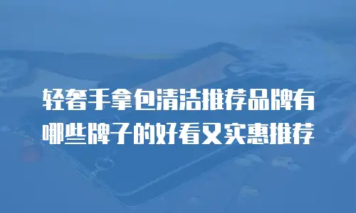 轻奢手拿包清洁推荐品牌有哪些牌子的好看又实惠推荐