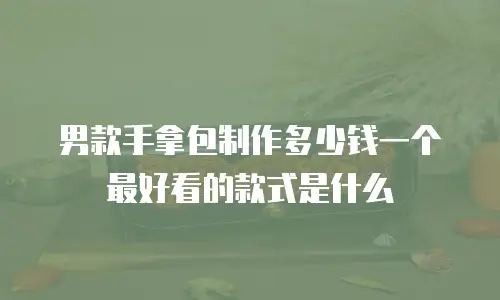 男款手拿包制作多少钱一个最好看的款式是什么