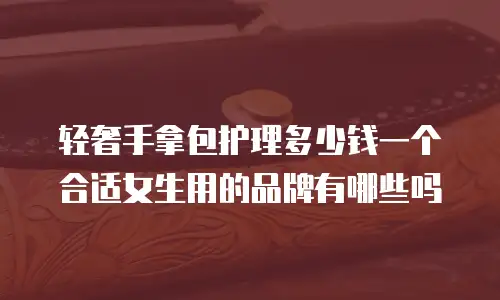 轻奢手拿包护理多少钱一个合适女生用的品牌有哪些吗