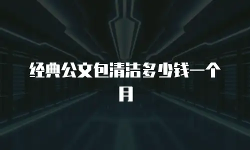 经典公文包清洁多少钱一个月
