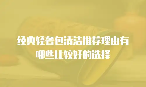 经典轻奢包清洁推荐理由有哪些比较好的选择