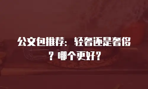 公文包推荐：轻奢还是奢侈？哪个更好？