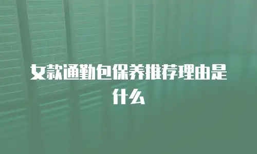 女款通勤包保养推荐理由是什么