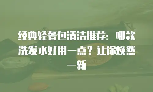 经典轻奢包清洁推荐：哪款洗发水好用一点？让你焕然一新