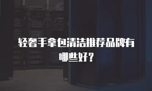 轻奢手拿包清洁推荐品牌有哪些好？