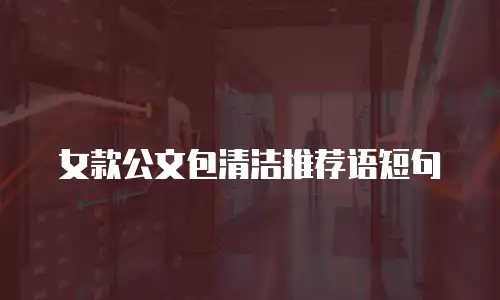 女款公文包清洁推荐语短句