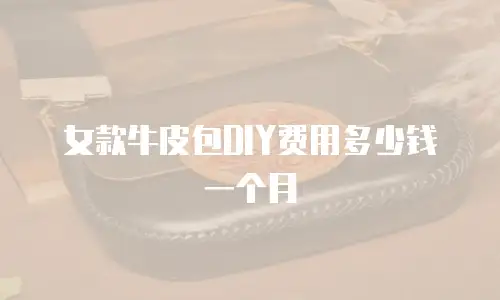 女款牛皮包DIY费用多少钱一个月