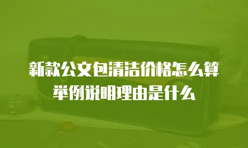 新款公文包清洁价格怎么算举例说明理由是什么