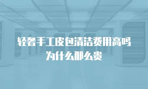 轻奢手工皮包清洁费用高吗为什么那么贵