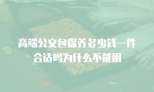 高端公文包保养多少钱一件合适吗为什么不能用