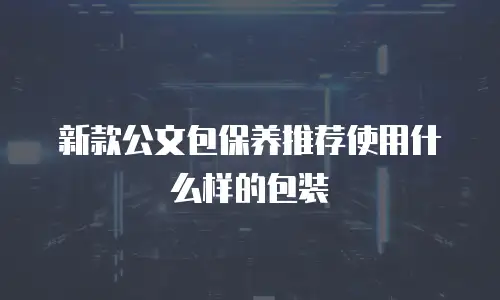 新款公文包保养推荐使用什么样的包装