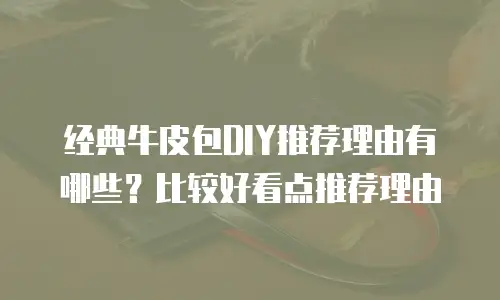 经典牛皮包DIY推荐理由有哪些？比较好看点推荐理由