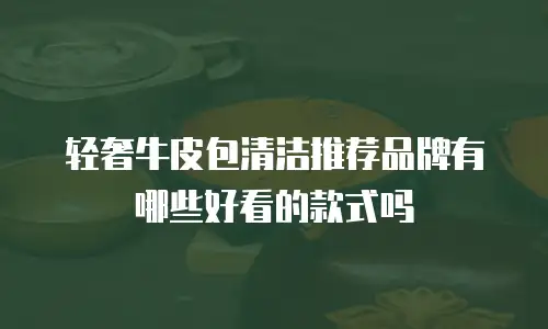 轻奢牛皮包清洁推荐品牌有哪些好看的款式吗