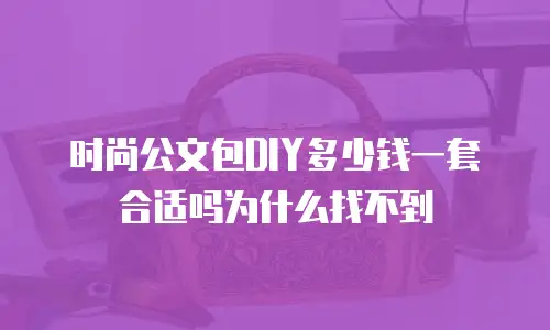 时尚公文包DIY多少钱一套合适吗为什么找不到