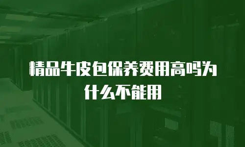 精品牛皮包保养费用高吗为什么不能用