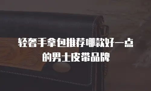 轻奢手拿包推荐哪款好一点的男士皮带品牌