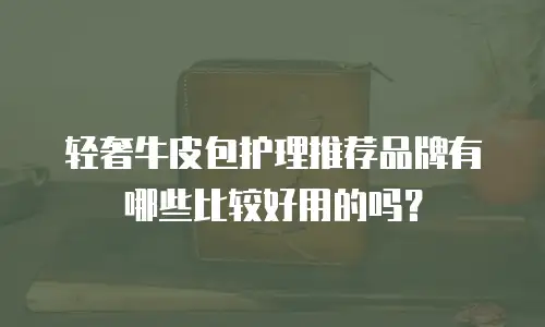轻奢牛皮包护理推荐品牌有哪些比较好用的吗？