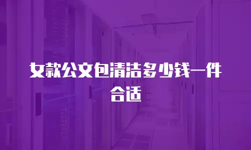 女款公文包清洁多少钱一件合适