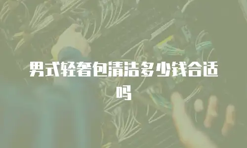 男式轻奢包清洁多少钱合适吗