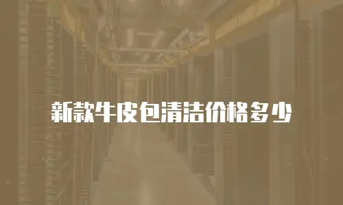 新款牛皮包清洁价格多少