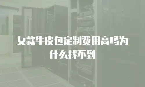 女款牛皮包定制费用高吗为什么找不到