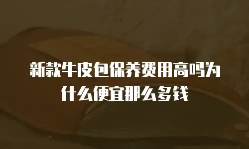 新款牛皮包保养费用高吗为什么便宜那么多钱