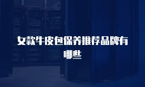 女款牛皮包保养推荐品牌有哪些