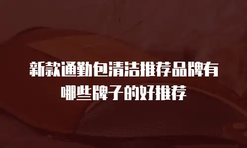 新款通勤包清洁推荐品牌有哪些牌子的好推荐