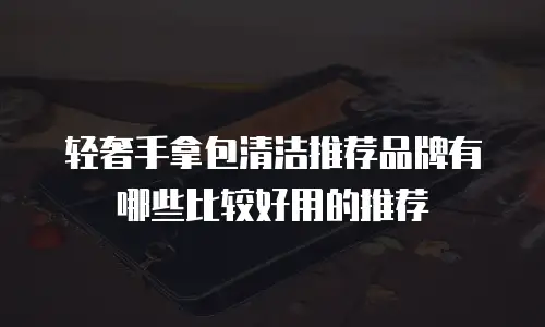 轻奢手拿包清洁推荐品牌有哪些比较好用的推荐