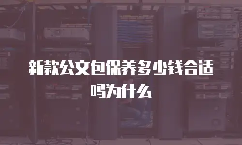 新款公文包保养多少钱合适吗为什么