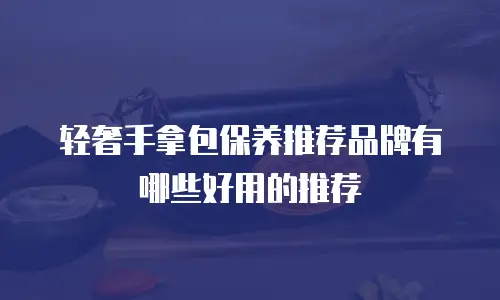 轻奢手拿包保养推荐品牌有哪些好用的推荐