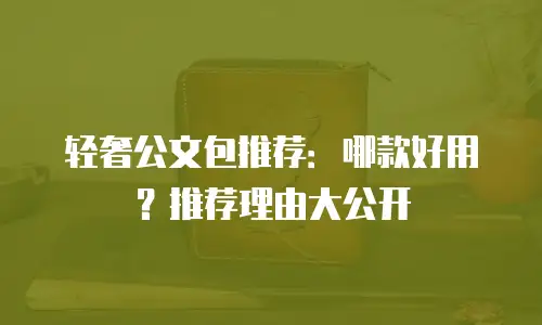轻奢公文包推荐：哪款好用？推荐理由大公开
