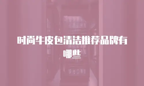 时尚牛皮包清洁推荐品牌有哪些