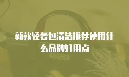 新款轻奢包清洁推荐使用什么品牌好用点