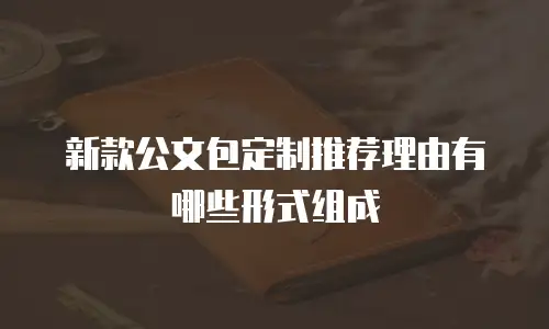 新款公文包定制推荐理由有哪些形式组成