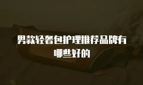 男款轻奢包护理推荐品牌有哪些好的