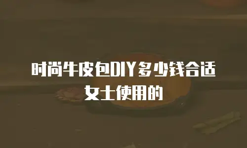 时尚牛皮包DIY多少钱合适女士使用的