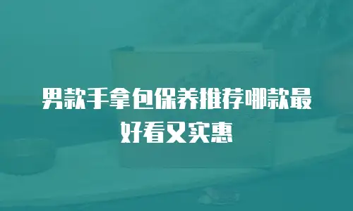 男款手拿包保养推荐哪款最好看又实惠