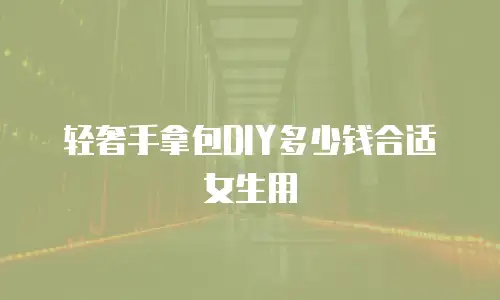 轻奢手拿包DIY多少钱合适女生用