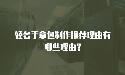 轻奢手拿包制作推荐理由有哪些理由？